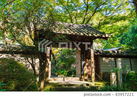 秋天的鎌倉瑞泉寺三門 秋天的鎌倉瑞泉寺三門 83957221