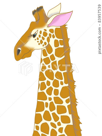 Giraffe  83957539