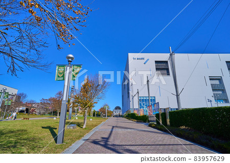 View of the north side of Wakabadai 2-chome (i Plaza Fureai Road), Inagi City, Tokyo in autumn 83957629