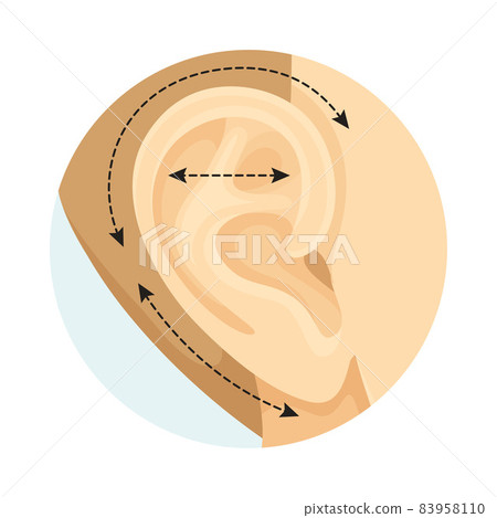 Otoplasty cosmetic surgery procedure of female face with dotted lines. Plastic surgery vector illustration Otoplasty cosmetic surgery procedure of female face with dotted lines. Plastic surgery vector illustration 83958110