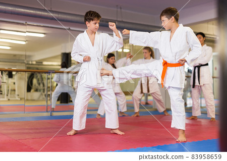 Kids in kimonos exercising techniques in pair during taekwondo class at gym closeup Kids in kimonos exercising techniques in pair during taekwondo class at gym closeup 83958659