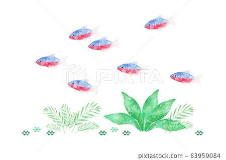 Tetra Tetra 83959084