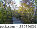 Hakurei Daisen mountain trail in autumn colors 83959639