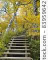 Autumn leaves Hakurei Oyama Gyoja valley mountain trail 83959642