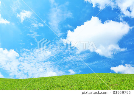 美好的藍天和新鮮的綠色草甸風景 83959795