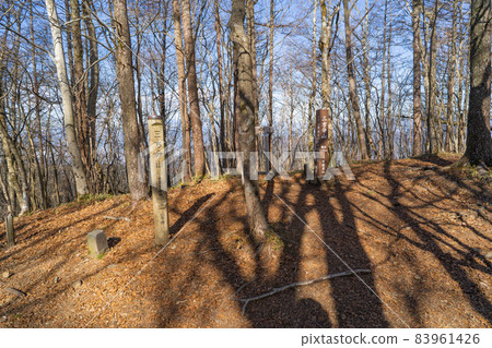 The summit of Mt. Mikata (Fujikawaguchiko Town) 83961426