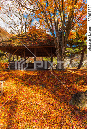 絕景、秋天的信州小諸、秋葉比賽、將古堡的廢墟染成紅色的紅葉 絕景、秋天的信州小諸、秋葉比賽、將古堡的廢墟染成紅色的紅葉 83961713