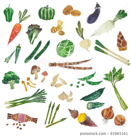 Watercolor green-yellow vegetables and root vegetables illustration set vector material Watercolor green-yellow vegetables and root vegetables illustration set vector material 83963161