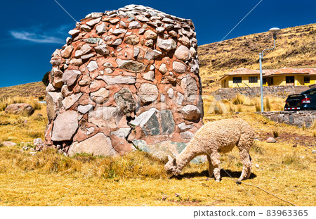 Alpaca at a chullpa at Sillustani in Peru Alpaca at a chullpa at Sillustani in Peru 83963365