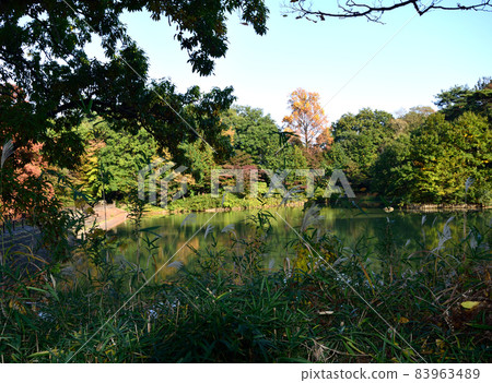 [Higashimurayama City, Tokyo] Sayama Park Takube Pond 83963489