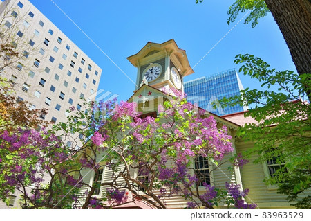 Sapporo City Clock Tower 83963529