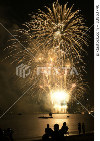 Firework celebration from the sea shore. 83963740
