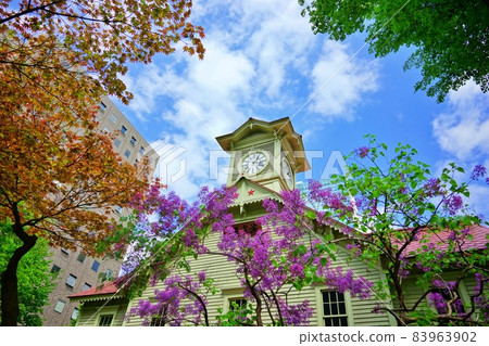 札幌市鐘樓 札幌市鐘樓 83963902