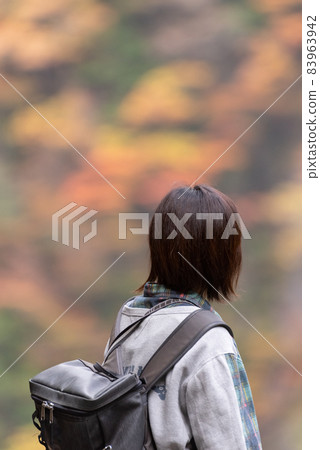 我們去看秋葉吧 我們去看秋葉吧 83963942