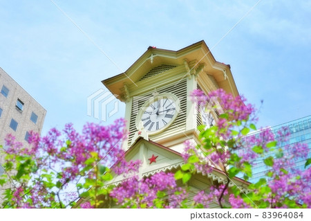 Sapporo Clock Tower and Lilac 83964084