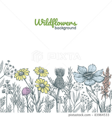 Floral card design templates. Flower frame collection. Vintage sketchy style plants. Vector illustration Floral card design templates. Flower frame collection. Vintage sketchy style plants. Vector illustration 83964533