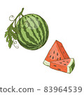Vector illustration logo for whole ripe red fruit watermelon, green stem, cut half, sliced slice berry with red flesh. Watermelon pattern from natural sweet food. Eat tasty tropical fruits watermelons 83964539