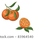 Vector set of fresh ripe oranges with leaves. 83964540
