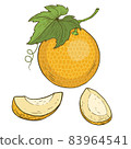 Melon. Cartoon vector icon. Series of food and drink and ingredients for cooking. 83964541
