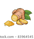 Turmeric, Curcuma powder and root on white background vector illustration. 83964545