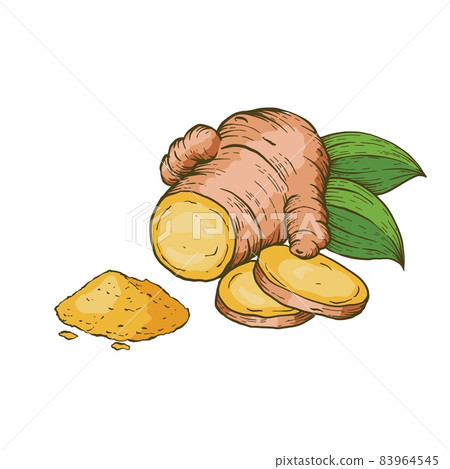 Turmeric, Curcuma powder and root on white background vector illustration. Turmeric, Curcuma powder and root on white background vector illustration. 83964545
