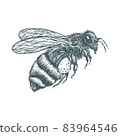 vector hand drawn illustration of bee 83964546