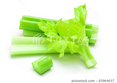 Fresh Chopped Celery Sticks and Slices with Leaves and Water Drops Isolated on White Background Fresh Chopped Celery Sticks and Slices with Leaves and Water Drops Isolated on White Background 83964637