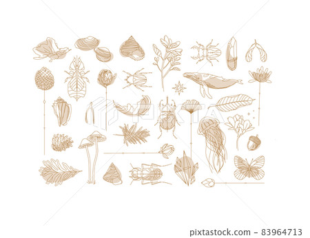 Art Deco flora fauna elements 83964713