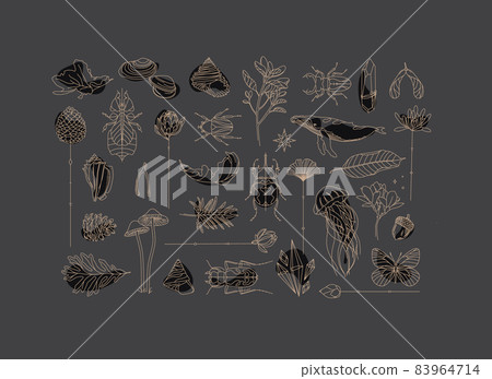 Art Deco flora fauna elements gray Art Deco flora fauna elements gray 83964714