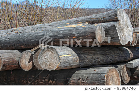 old round logs in a heap close up old round logs in a heap close up 83964740