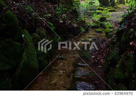 Akakurayama Rest Forest 83964970
