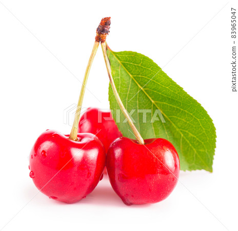 Ripe fresh red cherry isolated on white background. 83965047