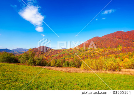 autumnal landscape in carpathian mountains. trees in colorful foliage on a grassy hills rolling in to the distant ridge. beautiful scenery on a warm sunny day with clouds on the sky autumnal landscape in carpathian mountains. trees in colorful foliage on a grassy hills rolling in to the distant ridge. beautiful scenery on a warm sunny day with clouds on the sky 83965194