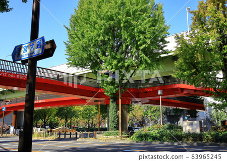 Wakamiya Bridge over Wakamiya Odori and Hommachi Dori, Naka-ku, Nagoya 83965245