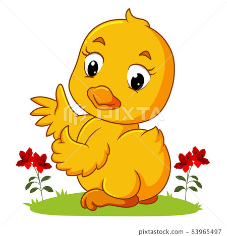 The baby bird is giving the thumb up with the happy face The baby bird is giving the thumb up with the happy face 83965497