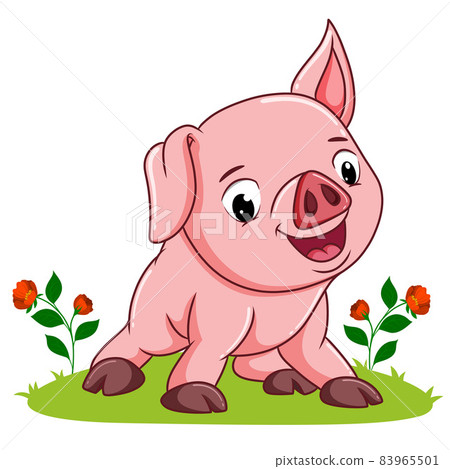 The baby pig is giving the happy expression The baby pig is giving the happy expression 83965501
