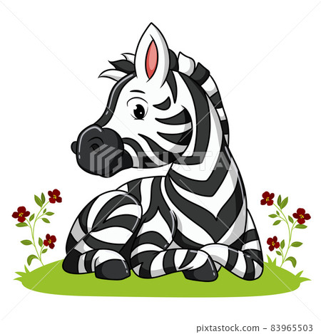 The zebra is laying down on the garden full of flowers The zebra is laying down on the garden full of flowers 83965503