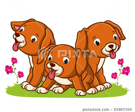 The puppies are playing and sitting on the grass The puppies are playing and sitting on the grass 83965504