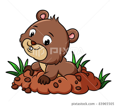 The groundhog is digging the ground in the park 83965505