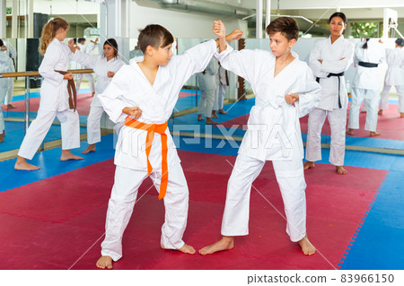 Teenager boys practicing new karate moves Teenager boys practicing new karate moves 83966150