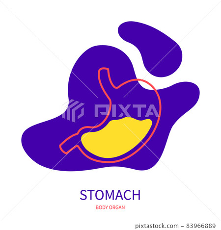 Stomach digestive system body organ outline icon Stomach digestive system body organ outline icon 83966889