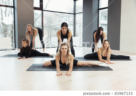 Six young sportive women in sportswear training at pairs at yoga meditation center. Concept of healthy lifestyle, wellbeing 83967133