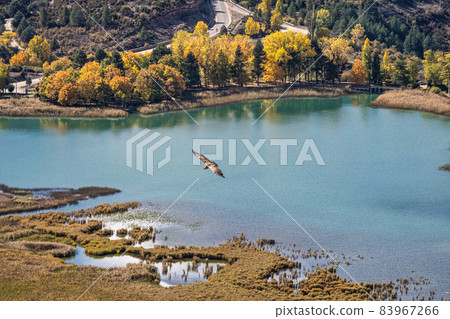 The Una lagoon, a lagoon located in the town of Una, in the province of Cuenca, Castilla La Mancha, Spain 83967266