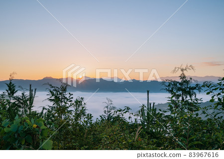 池田町廣津的雲海日出【秋季】 83967616