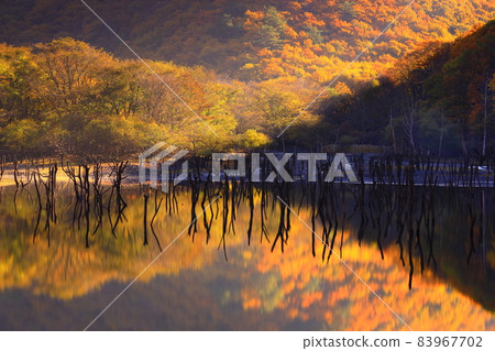 Tono City, Iwate Prefecture Autumn Sennin-Toge Tono City, Iwate Prefecture Autumn Sennin-Toge 83967702
