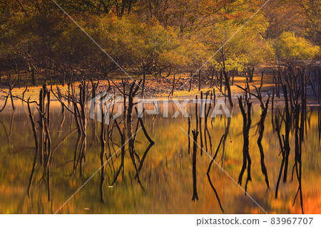 Tono City, Iwate Prefecture Autumn Sennin-Toge 83967707