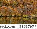 Kamaike in the height of autumn 83967977