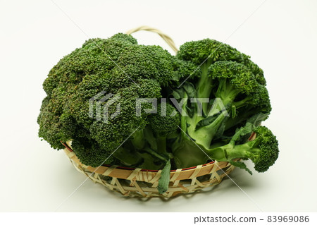 Broccoli White Background Broccoli White Background 83969086