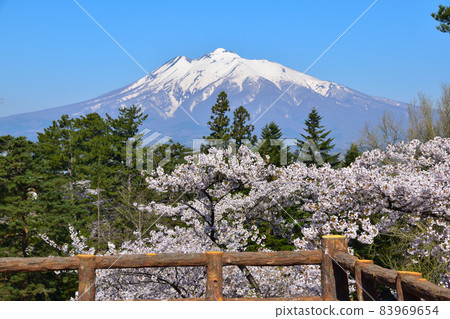 櫻花觀 弘前公園 岩木山 83969654