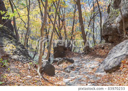 妙義山：從中之武神社到觀景台的山路 83970233